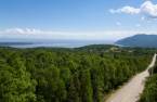 Land/Lot