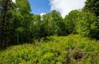 Land/Lot