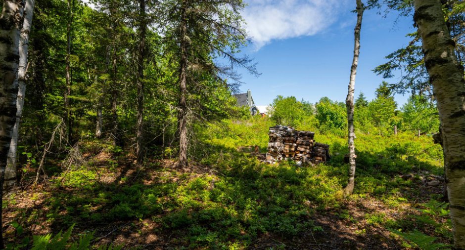Land/Lot