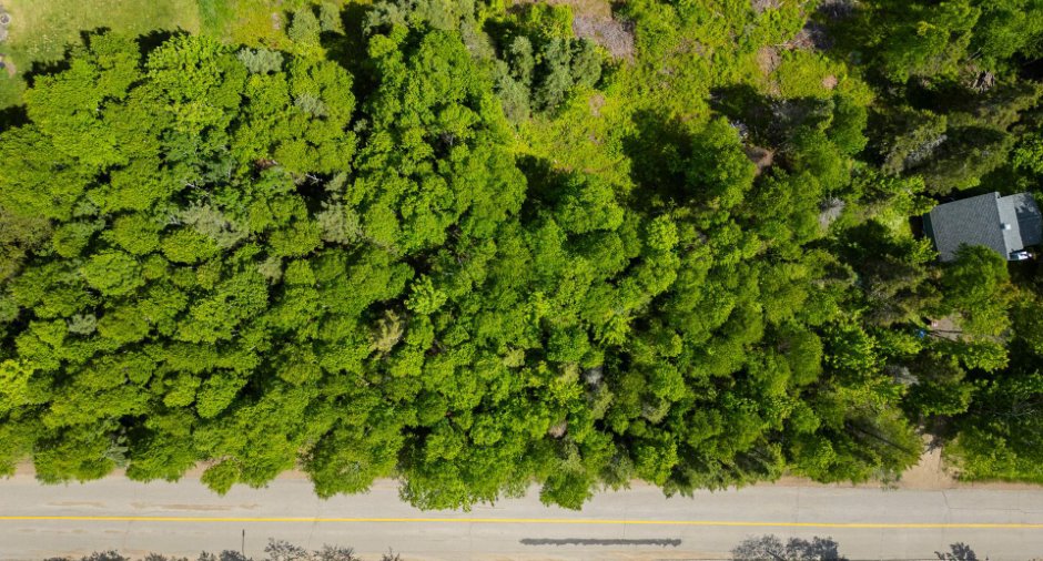 Land/Lot