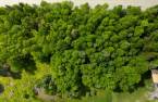 Land/Lot
