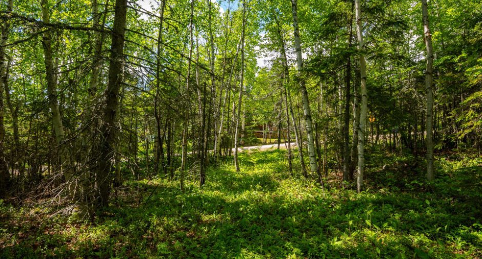 Land/Lot