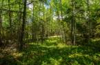Land/Lot