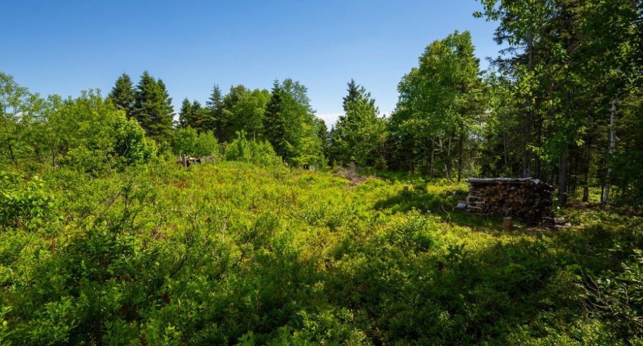 Land/Lot