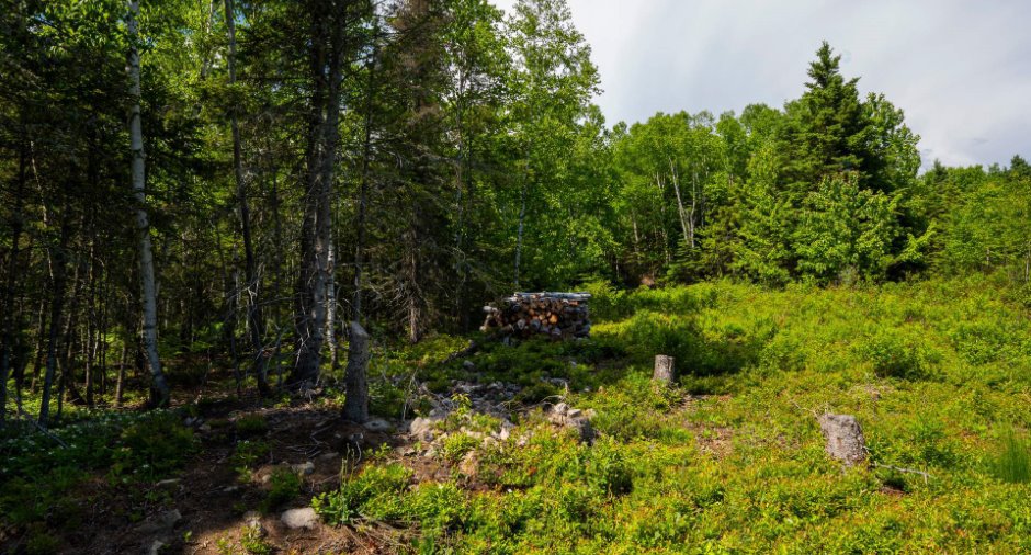 Land/Lot