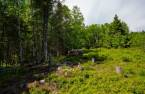 Land/Lot