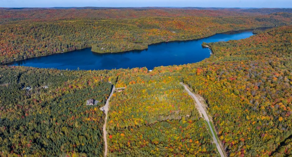 Aerial photo