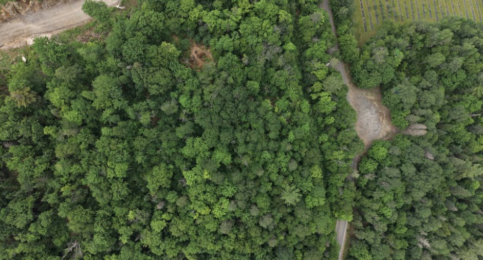 Terre/Terrain