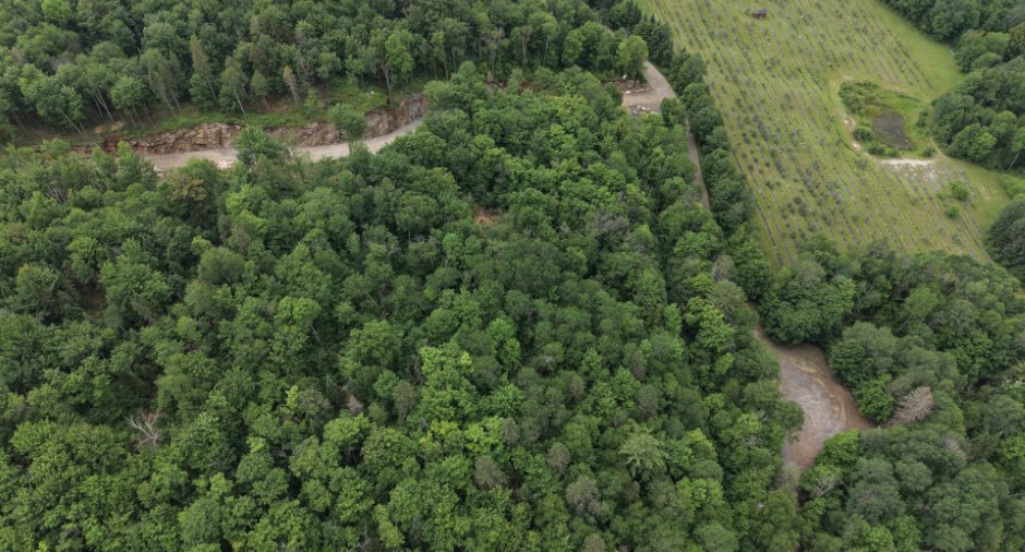 Terre/Terrain