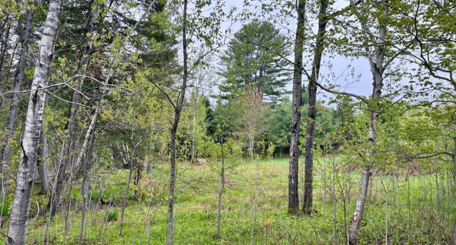 Overall View