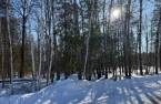 Land/Lot