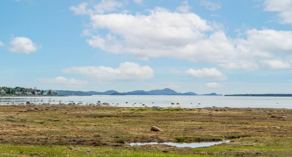 Vue sur l'eau