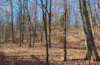 Terre/Terrain