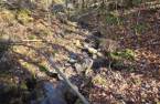 Terre/Terrain