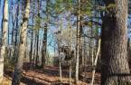 Terre/Terrain