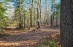 Terre/Terrain