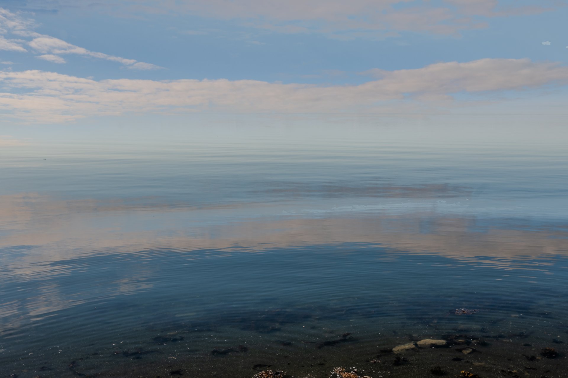 Vue sur l'eau