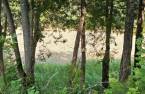 Terre/Terrain