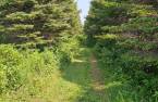 Terre/Terrain