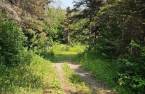 Terre/Terrain