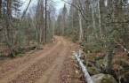 Terre à bois