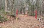 Terre à bois