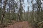 Terre à bois