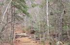 Terre à bois