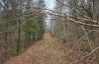 Terre à bois