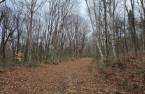 Terre à bois