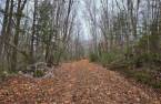 Terre à bois