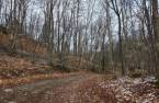 Terre à bois