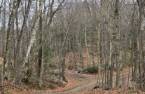 Terre à bois