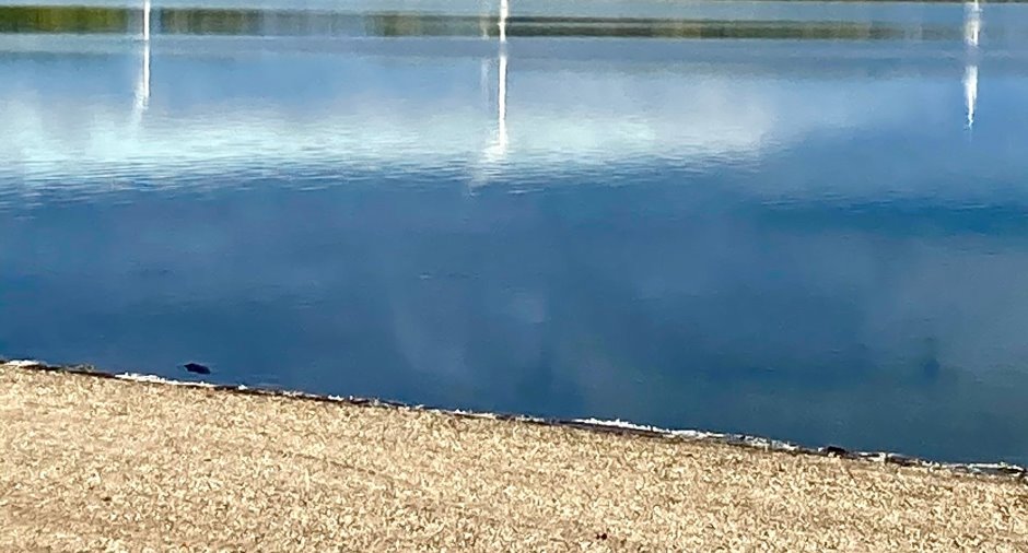 Bord de l'eau
