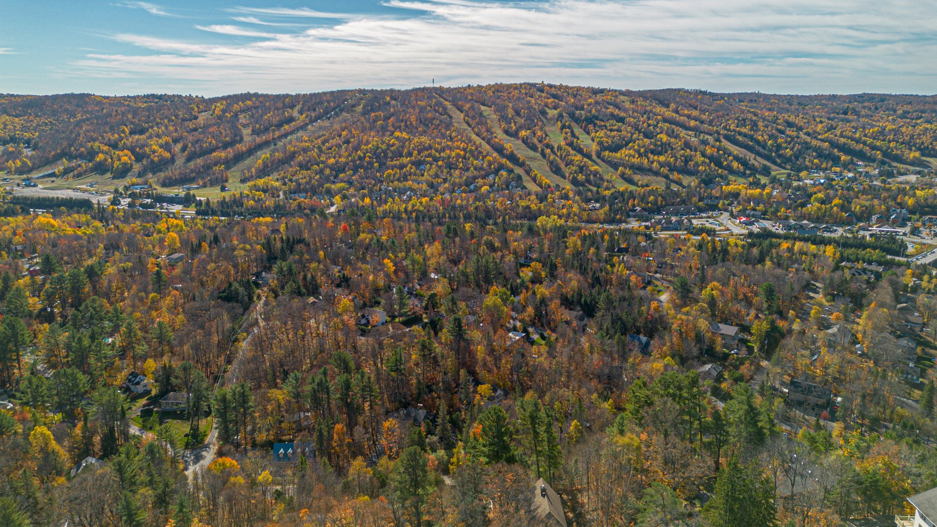 Vue