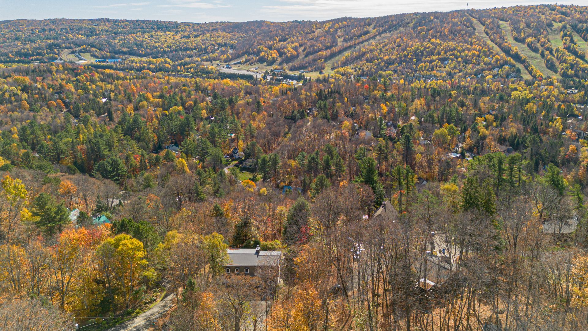 Vue
