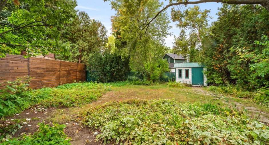 Cour
