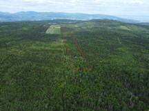 Chalet à vendre à La Malbaie — 1, Rang Saint-Joseph (photo 3)