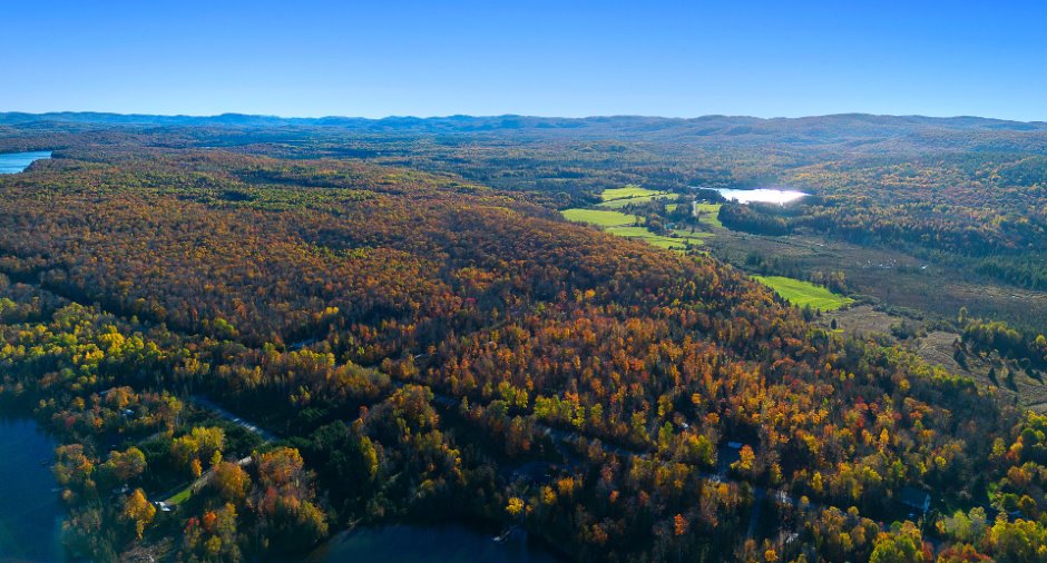 Vue d'ensemble