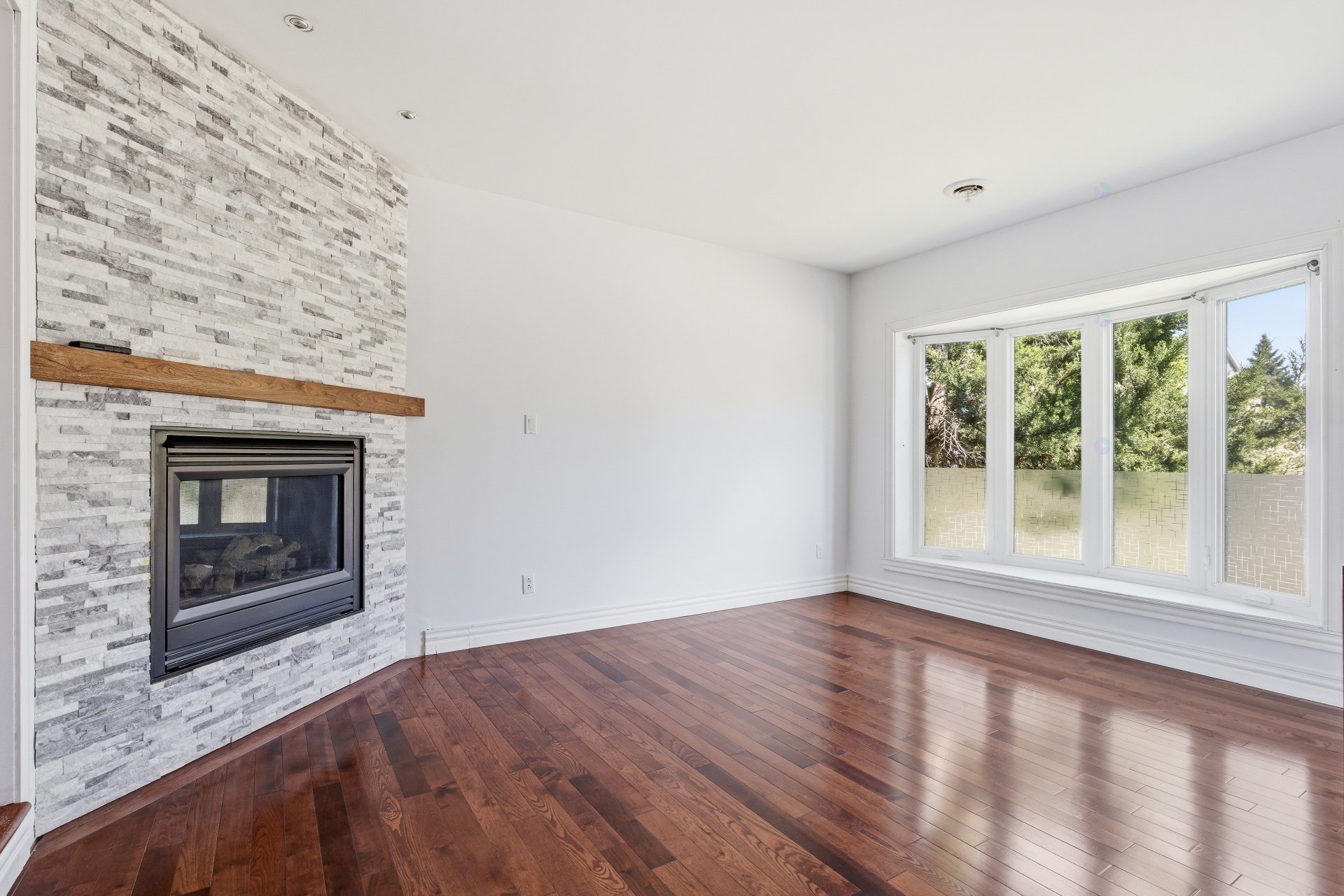 224 Rue Chaumontel — photo 2