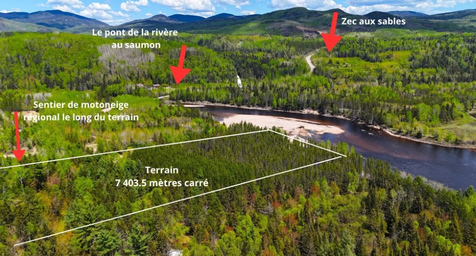 Terre/Terrain