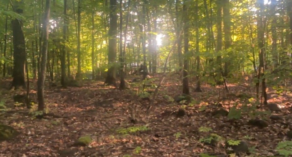Terre/Terrain