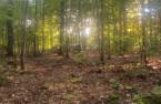 Terre/Terrain