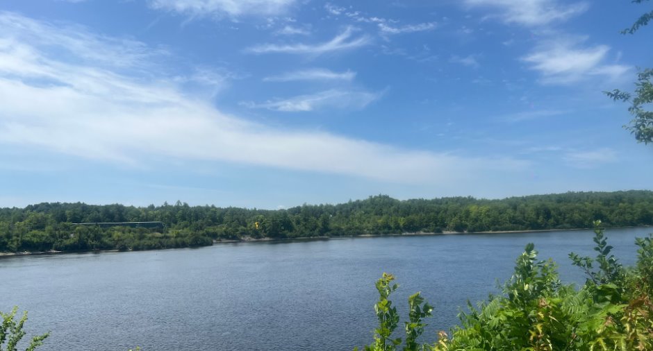 Vue sur l'eau