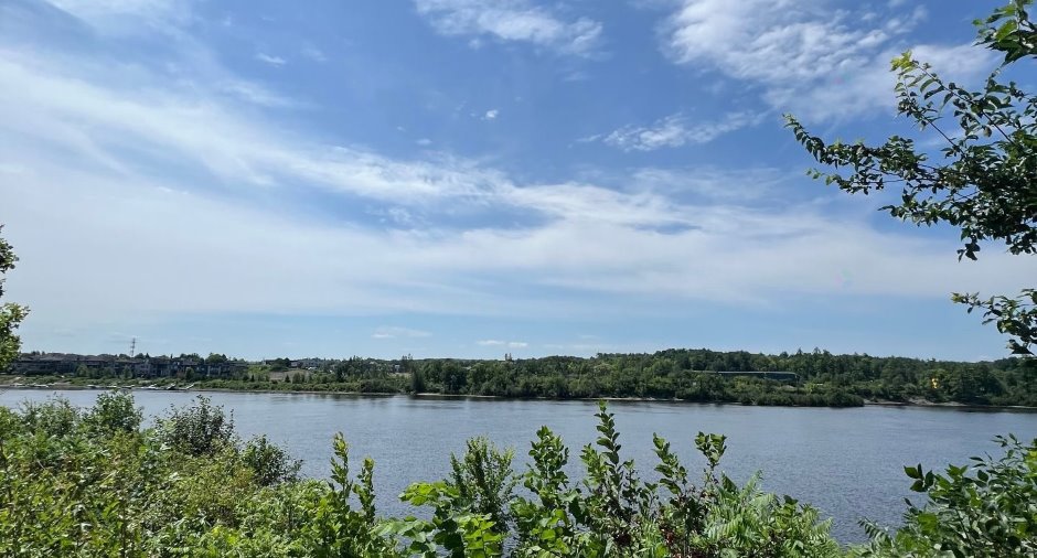 Vue sur l'eau
