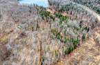 Terre/Terrain