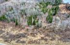 Terre/Terrain