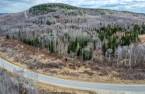 Terre/Terrain