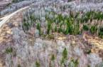 Terre/Terrain