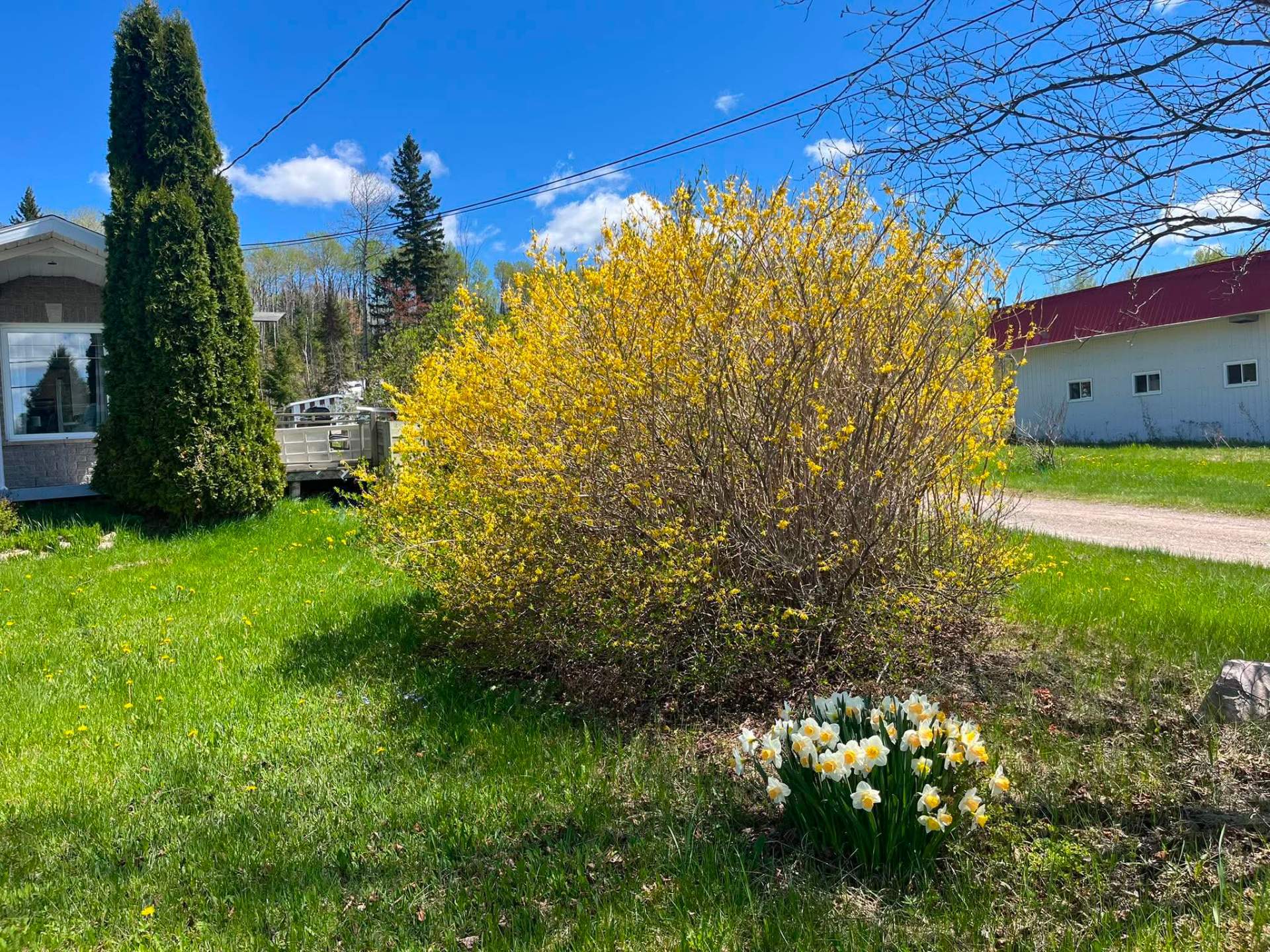 289 Route Victor-Delamarre — photo 2